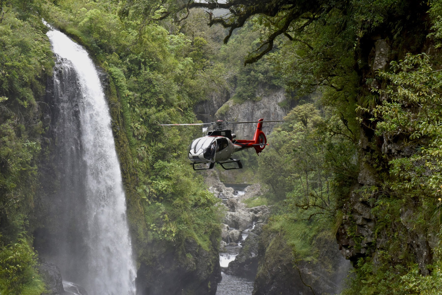 Tour de l'île - durée 45 min